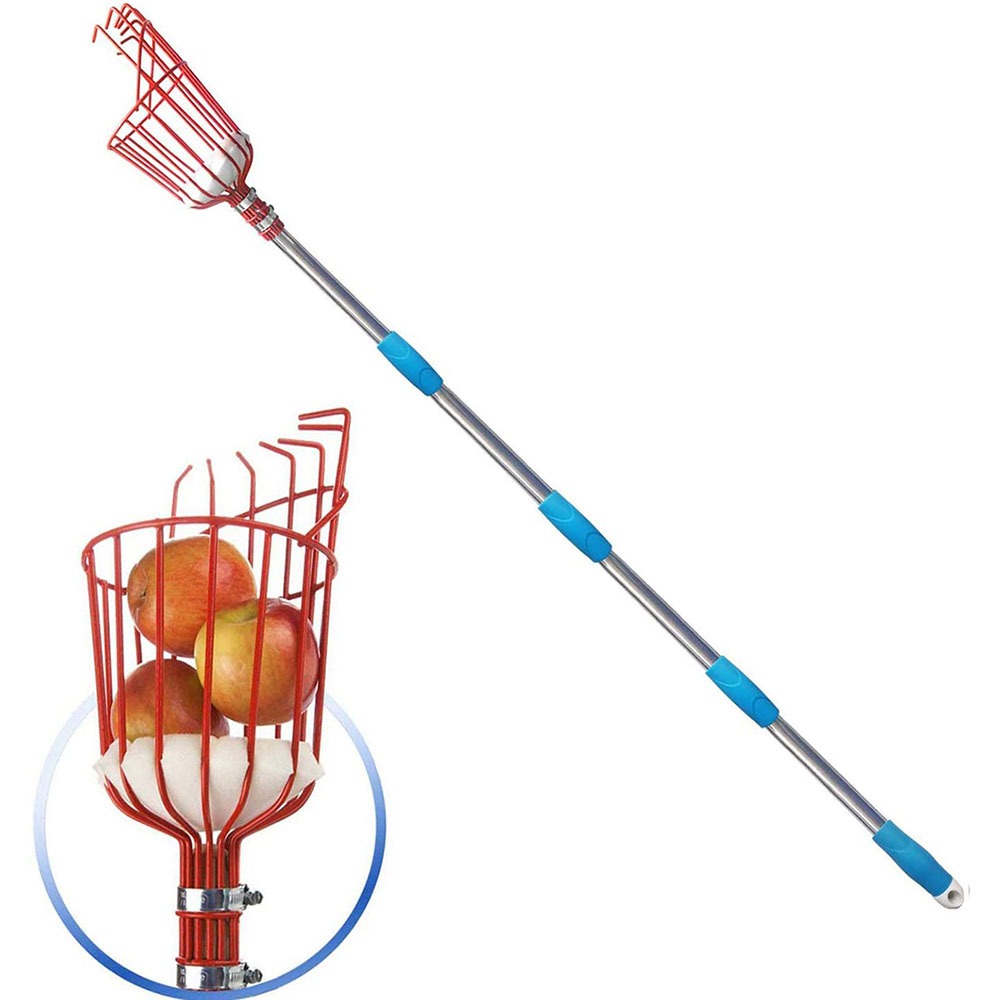 260cm fruit picker, adjustable - đánh giá và giá Cycling Zones